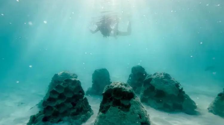 A blue underwater shot of a diver floating above dark rocks on the sandy bottom.