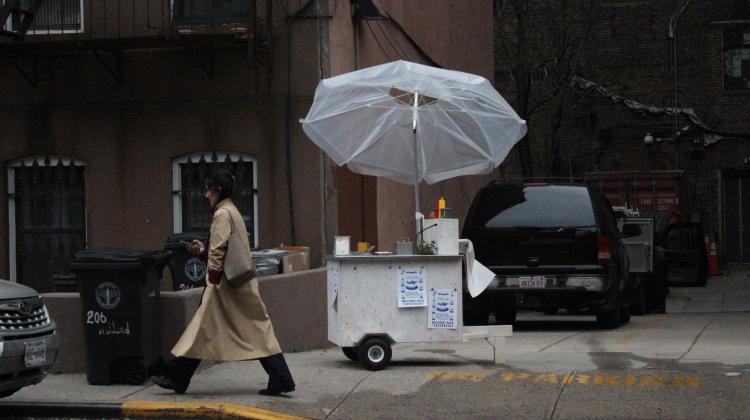 Final Inch, hotdog cart on NYC sidewalk