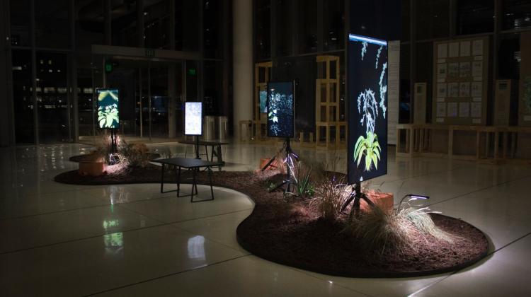 RunDry, perspective overall photo