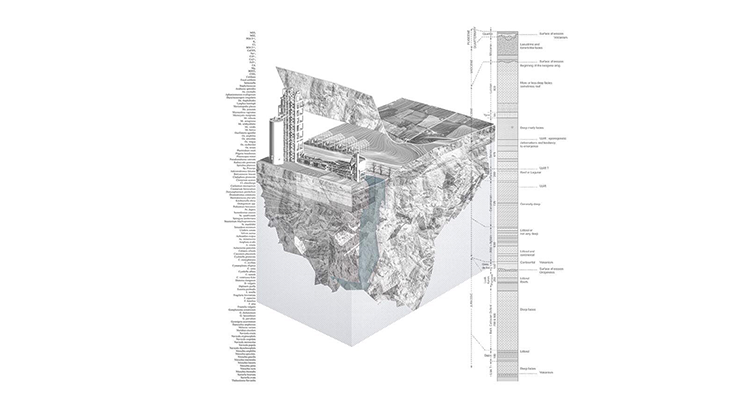 The Litani Basin in Lebanon_a metabolic conversion of politics into cancer by Mohamad Nahleh